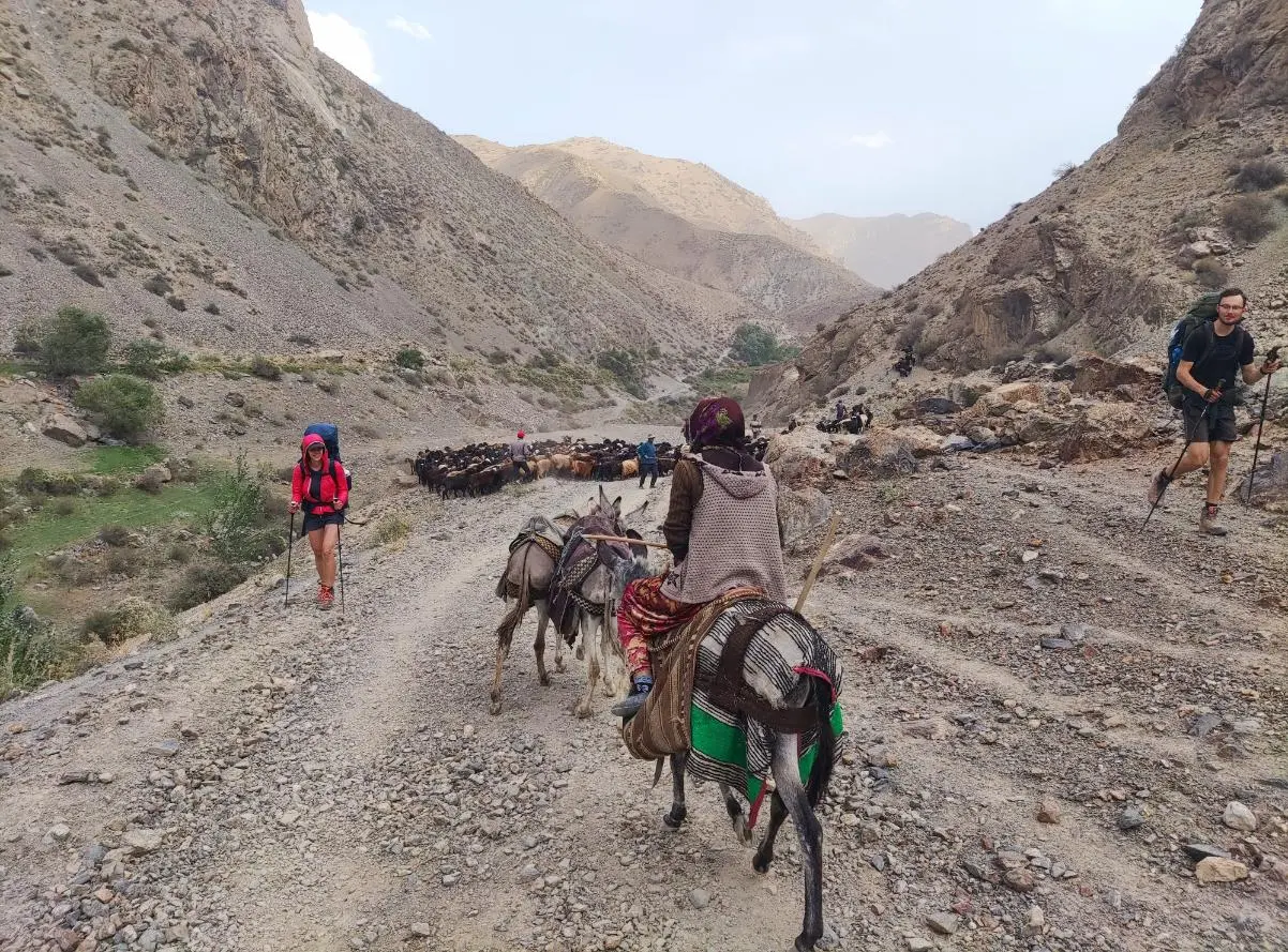 Blížíme se k civilizaci a potkáváme první stáda s pastevci ​