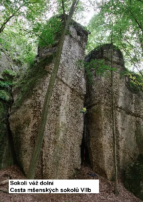 Skály u Mšena