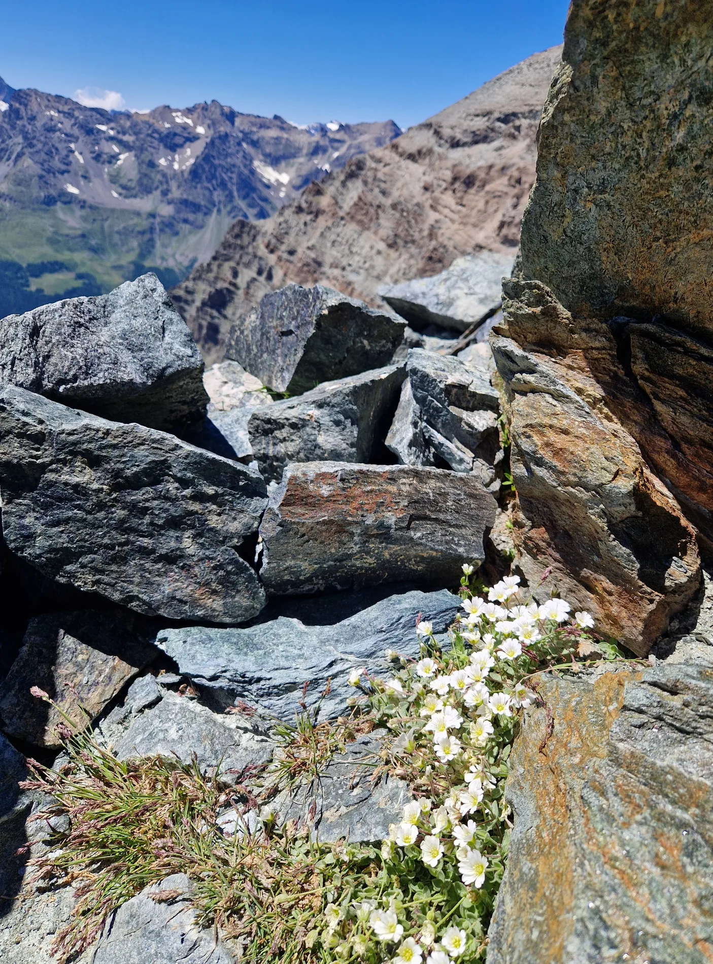 Národní park Gran Paradiso