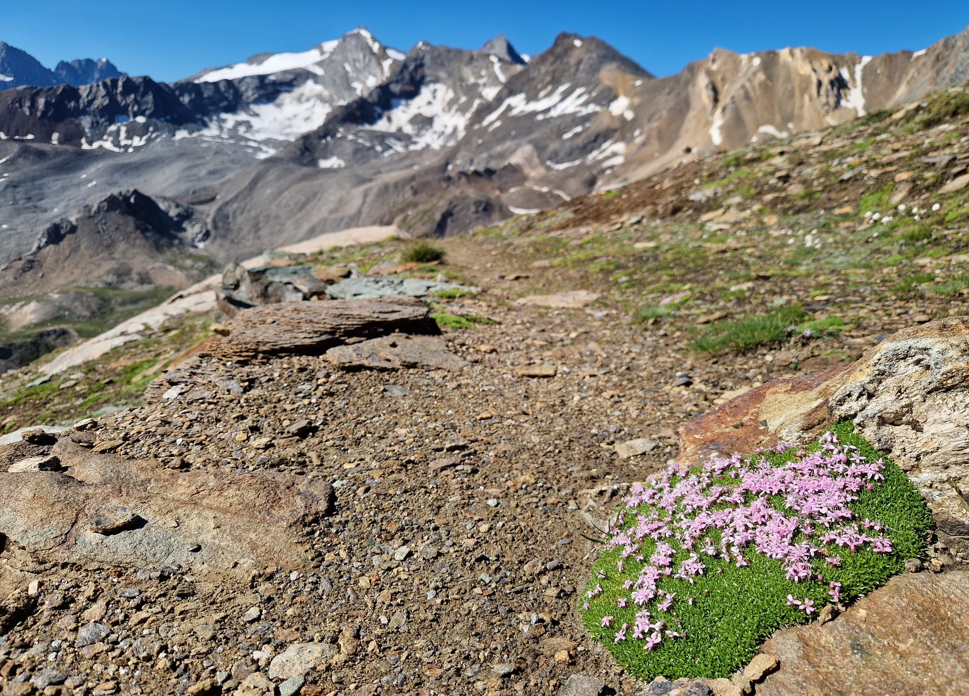 Národní park Gran Paradiso